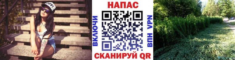 Канабис сатива  Камбарка 